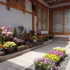 Отель Dowonjeong Healing House Южная Корея, Сеул - отзывы, цены и фото номеров - забронировать отель Dowonjeong Healing House онлайн фото 7