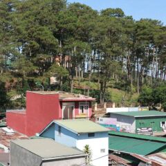 Quang Minh Dalat Hotel Далат бассейн