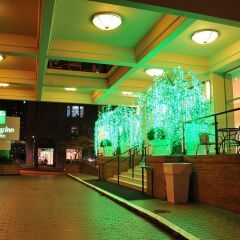 Отель Holiday Inn Vancouver Downtown & Suites Канада, Ванкувер - отзывы, цены и фото номеров - забронировать отель Holiday Inn Vancouver Downtown & Suites онлайн интерьер отеля фото 3
