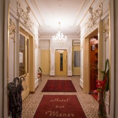 Отель zur Wiener Staatsoper Австрия, Вена - отзывы, цены и фото номеров - забронировать отель zur Wiener Staatsoper онлайн интерьер отеля фото 5