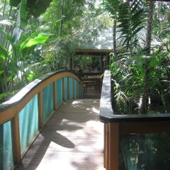 Отель Colo-I-Suva Rainforest Eco Resort Вити-Леву балкон