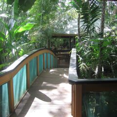 Rainforest Eco Lodge in Viti Levu, Fiji from 34$, photos, reviews - zenhotels.com balcony