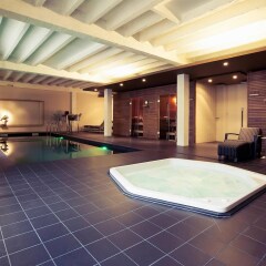 Отель Mercure Mechelen Vé Бельгия, Мехелен - отзывы, цены и фото номеров - забронировать отель Mercure Mechelen Vé онлайн бассейн