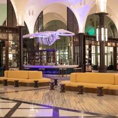 Отель Ocean El Faro Resort - All Inclusive Доминикана, Пунта Кана - отзывы, цены и фото номеров - забронировать отель Ocean El Faro Resort - All Inclusive онлайн интерьер отеля фото 2