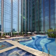 Отель The Reverie Saigon Residential Suites с домашними животными