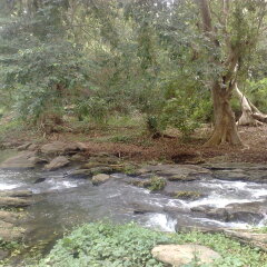 Отель River Face Inn