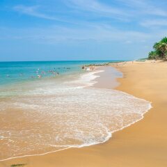 Отель Club Palm Bay Шри-Ланка, Маравила - 3 отзыва об отеле, цены и фото номеров - забронировать отель Club Palm Bay онлайн фото 12