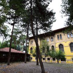 Osmanli Saray Oteli Турция, Кастамону - отзывы, цены и фото номеров - забронировать отель Osmanli Saray Oteli онлайн парковка