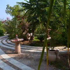 Отель Lohagarh Fort Resort фото 8