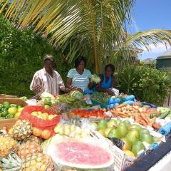 Отель Arawak By The Sea, Silver Sands Jamaica Villas 4BR фото 2