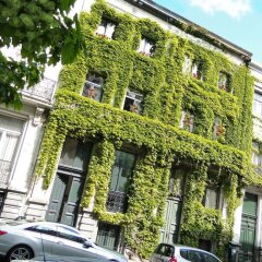 Отель B&B D&F Suites Brussels Бельгия, Брюссель - отзывы, цены и фото номеров - забронировать отель B&B D&F Suites Brussels онлайн парковка