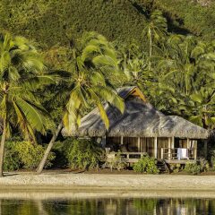 Отель InterContinental Resort and Spa Moorea Французская Полинезия, Муреа - отзывы, цены и фото номеров - забронировать отель InterContinental Resort and Spa Moorea онлайн фото 13