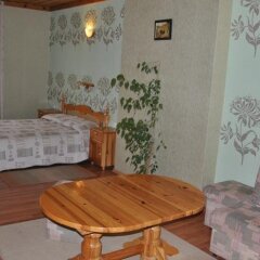 Отель Family Hotel Shoky Болгария, Чепеларе - отзывы, цены и фото номеров - забронировать отель Family Hotel Shoky онлайн комната для гостей фото 4