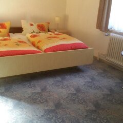Hotel Zur Schanze комната для гостей фото 4