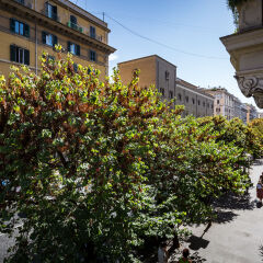 Отель Residenza Vatican Suite Италия, Рим - отзывы, цены и фото номеров - забронировать отель Residenza Vatican Suite онлайн балкон