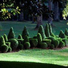 Отель Les Prés d'Eugénie Франция, Эжени-ле-Бен - отзывы, цены и фото номеров - забронировать отель Les Prés d'Eugénie онлайн фото 7