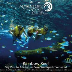 Resorts World Sentosa - Festive Hotel спортивное сооружение