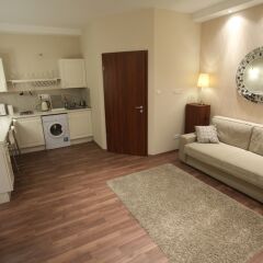 Отель Dfive Apartments - Bland Венгрия, Будапешт - отзывы, цены и фото номеров - забронировать отель Dfive Apartments - Bland онлайн комната для гостей фото 4