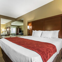 Отель Comfort Suites Effingham комната для гостей фото 5