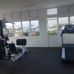 Отель Secure New Kingston Condo Ямайка, Кингстон - отзывы, цены и фото номеров - забронировать отель Secure New Kingston Condo онлайн фитнесс-зал