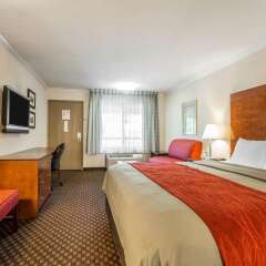 Отель Comfort Inn Near Pasadena Civic Auditorium США, Пасадена - отзывы, цены и фото номеров - забронировать отель Comfort Inn Near Pasadena Civic Auditorium онлайн комната для гостей