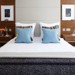 Отель Park Plaza County Hall London комната для гостей фото 3