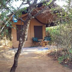 Отель Eco Island Sri Lanka развлечения