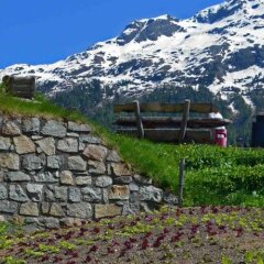 Отель Waldhaus am See Швейцария, Санкт-Мориц - отзывы, цены и фото номеров - забронировать отель Waldhaus am See онлайн фото 2