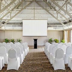 Отель Novotel Nadi Фиджи, Вити-Леву - отзывы, цены и фото номеров - забронировать отель Novotel Nadi онлайн фото 12