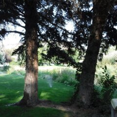Отель Billingsley Creek