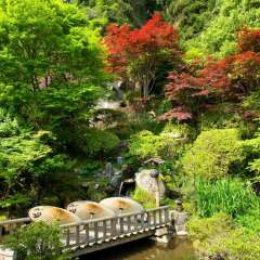 Отель Beppu Showaen Беппу фото 8