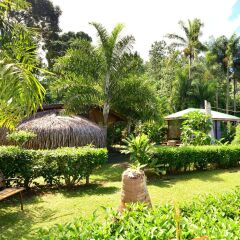 Отель Marks Place Moorea Французская Полинезия, Муреа - отзывы, цены и фото номеров - забронировать отель Marks Place Moorea онлайн фото 5