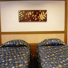 Royal Twins Palace Hotel детские мероприятия фото 2