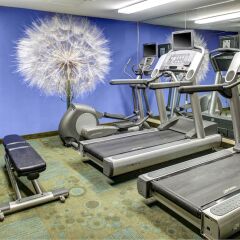 Отель Springhill Suites Columbus Airport Gahanna США, Гаханна - отзывы, цены и фото номеров - забронировать отель Springhill Suites Columbus Airport Gahanna онлайн фитнесс-зал фото 3