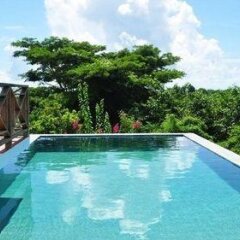 Welcome Villa in Grand Anse, Grenada from 444$, photos, reviews - zenhotels.com pool
