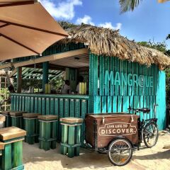 Отель Renaissance Aruba Resort & Casino парковка