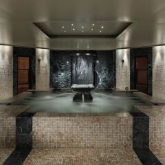 Отель Park Hyatt Tokyo Токио сауна