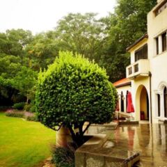 Отель Shanghai Fenyang Garden Boutique Hotel Китай, Шанхай - отзывы, цены и фото номеров - забронировать отель Shanghai Fenyang Garden Boutique Hotel онлайн фото 4