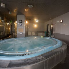 Отель Tokyo Kiba Hotel Япония, Токио - 1 отзыв об отеле, цены и фото номеров - забронировать отель Tokyo Kiba Hotel онлайн бассейн фото 2