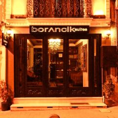 Отель Borancik Suites гостиничный бар