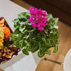 Prima City Hotel in Tel Aviv, Israel from 162$, photos, reviews - zenhotels.com