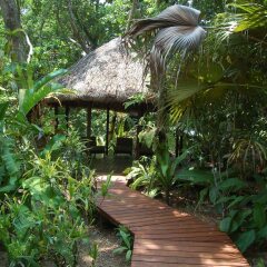 Отель Barrier Beach Resort Вануату, Сараотоу - отзывы, цены и фото номеров - забронировать отель Barrier Beach Resort онлайн фото 13