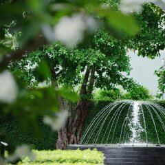 Отель Dusit Suites Hotel Ratchadamri, Bangkok Таиланд, Бангкок - 1 отзыв об отеле, цены и фото номеров - забронировать отель Dusit Suites Hotel Ratchadamri, Bangkok онлайн фото 4