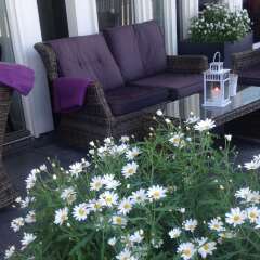 Clarion Collection Hotel Skagen Brygge балкон