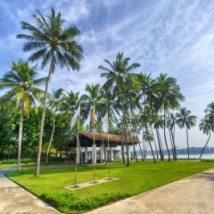 Отель Avani Kalutara Resort Шри-Ланка, Калутара - отзывы, цены и фото номеров - забронировать отель Avani Kalutara Resort онлайн фото 8