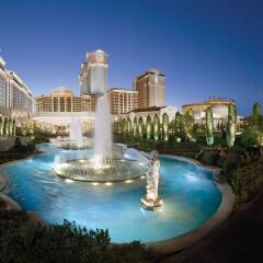 Отель Caesars Palace с домашними животными