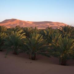 Отель Kasbah Bivouac Lahmada Марокко, Мерзуга - отзывы, цены и фото номеров - забронировать отель Kasbah Bivouac Lahmada онлайн фото 13