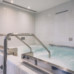 Hotel Aya с домашними животными