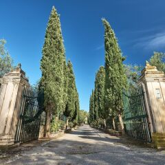Отель Villa Almeira Zakynthos Греция, Закинф - отзывы, цены и фото номеров - забронировать отель Villa Almeira Zakynthos онлайн фото 4