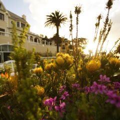 Отель Ellerman House фото 5